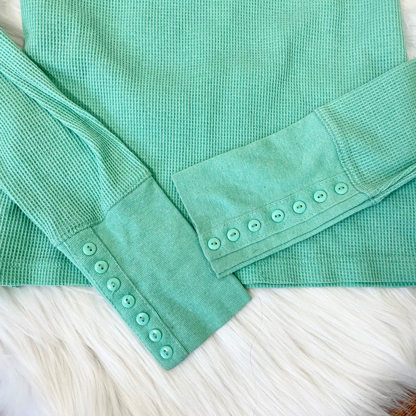 color story mint green button sleeve top L